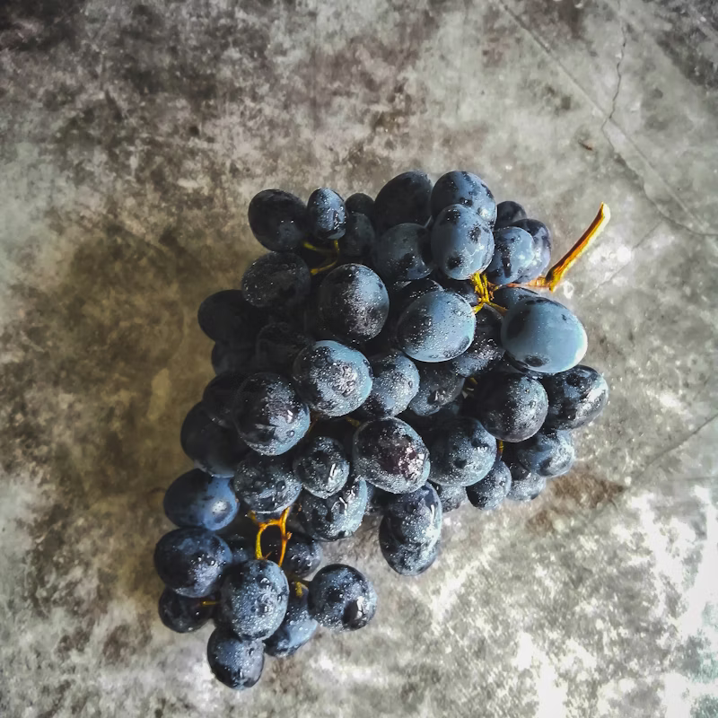 Fresh Grapes
